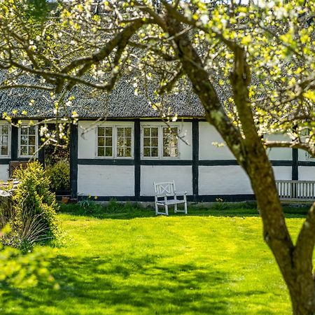 Solbjerggaard Bed & Breakfast Fåborg Extérieur photo