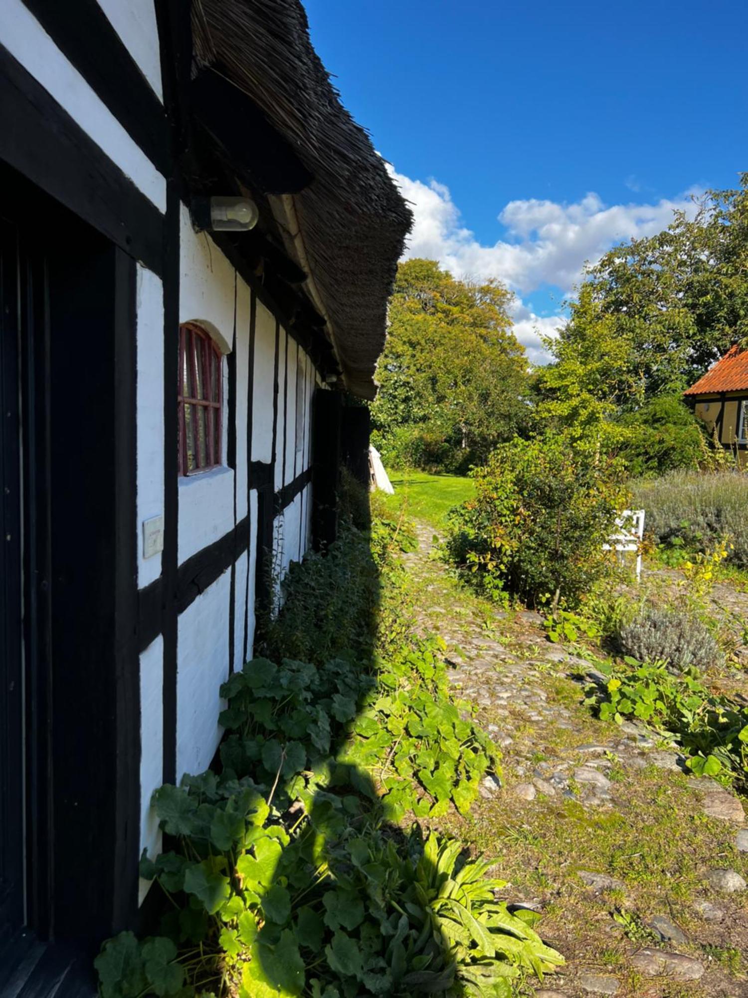 Solbjerggaard Bed & Breakfast Fåborg Extérieur photo