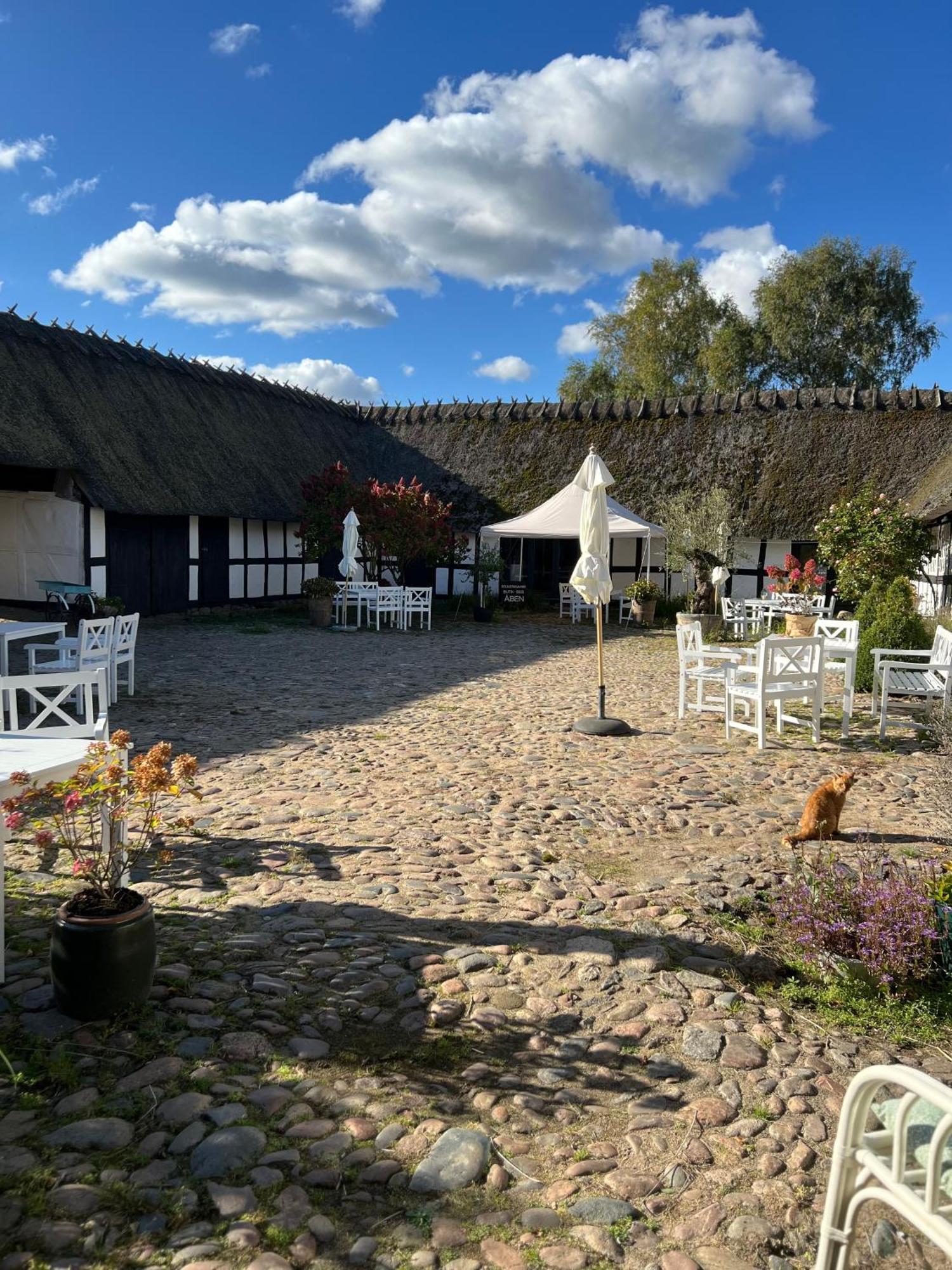 Solbjerggaard Bed & Breakfast Fåborg Extérieur photo