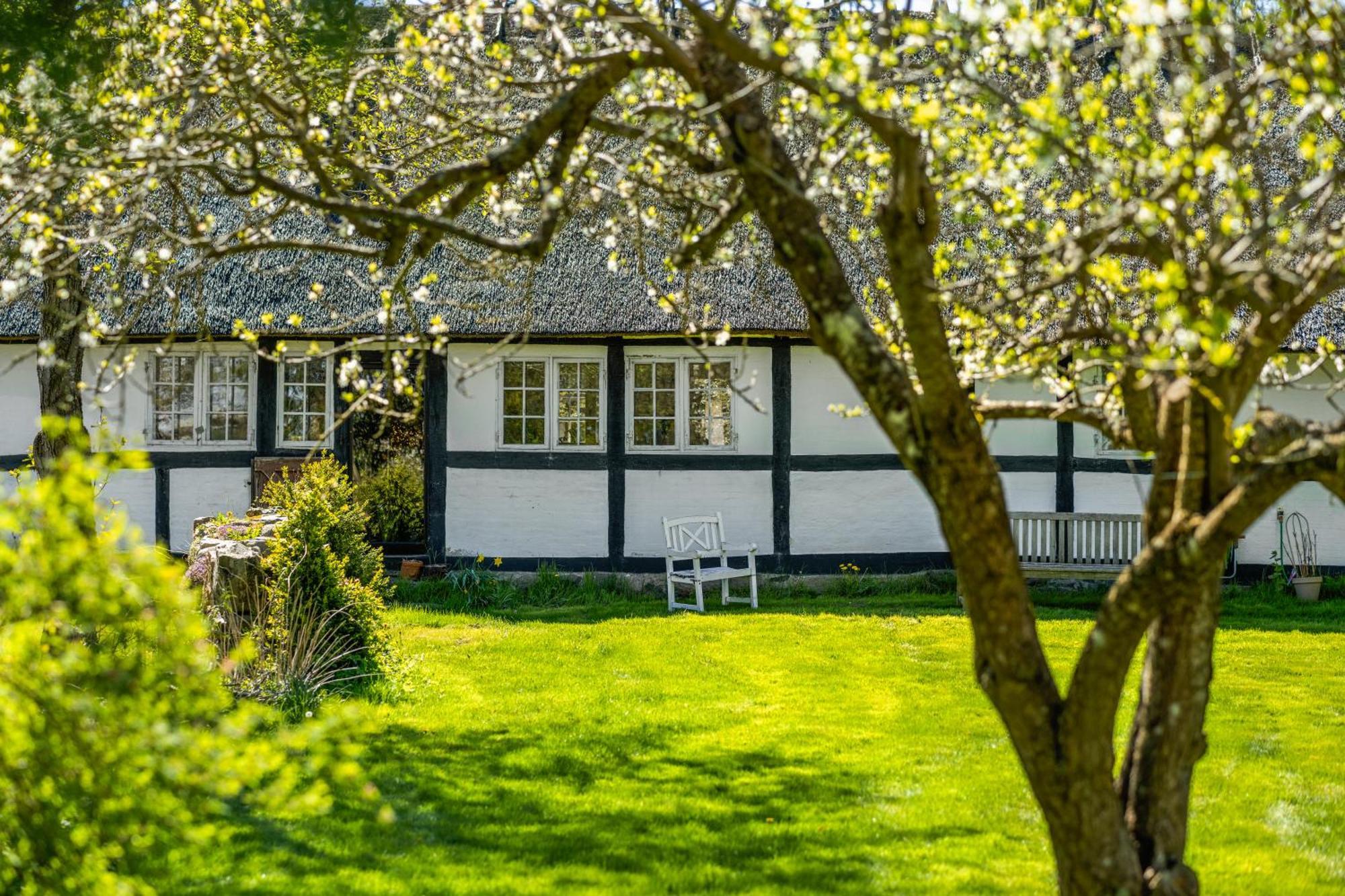 Solbjerggaard Bed & Breakfast Fåborg Extérieur photo