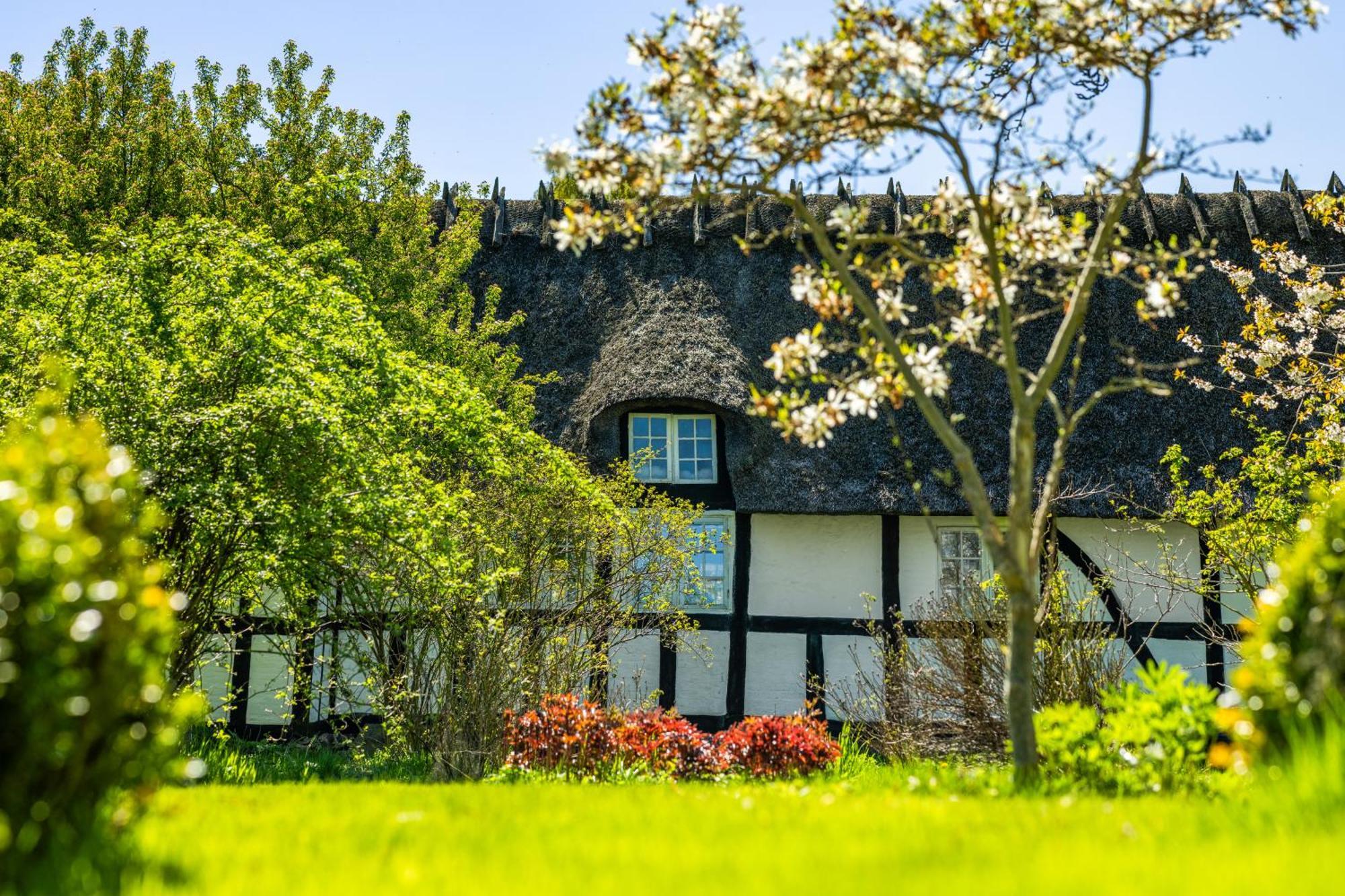 Solbjerggaard Bed & Breakfast Fåborg Extérieur photo
