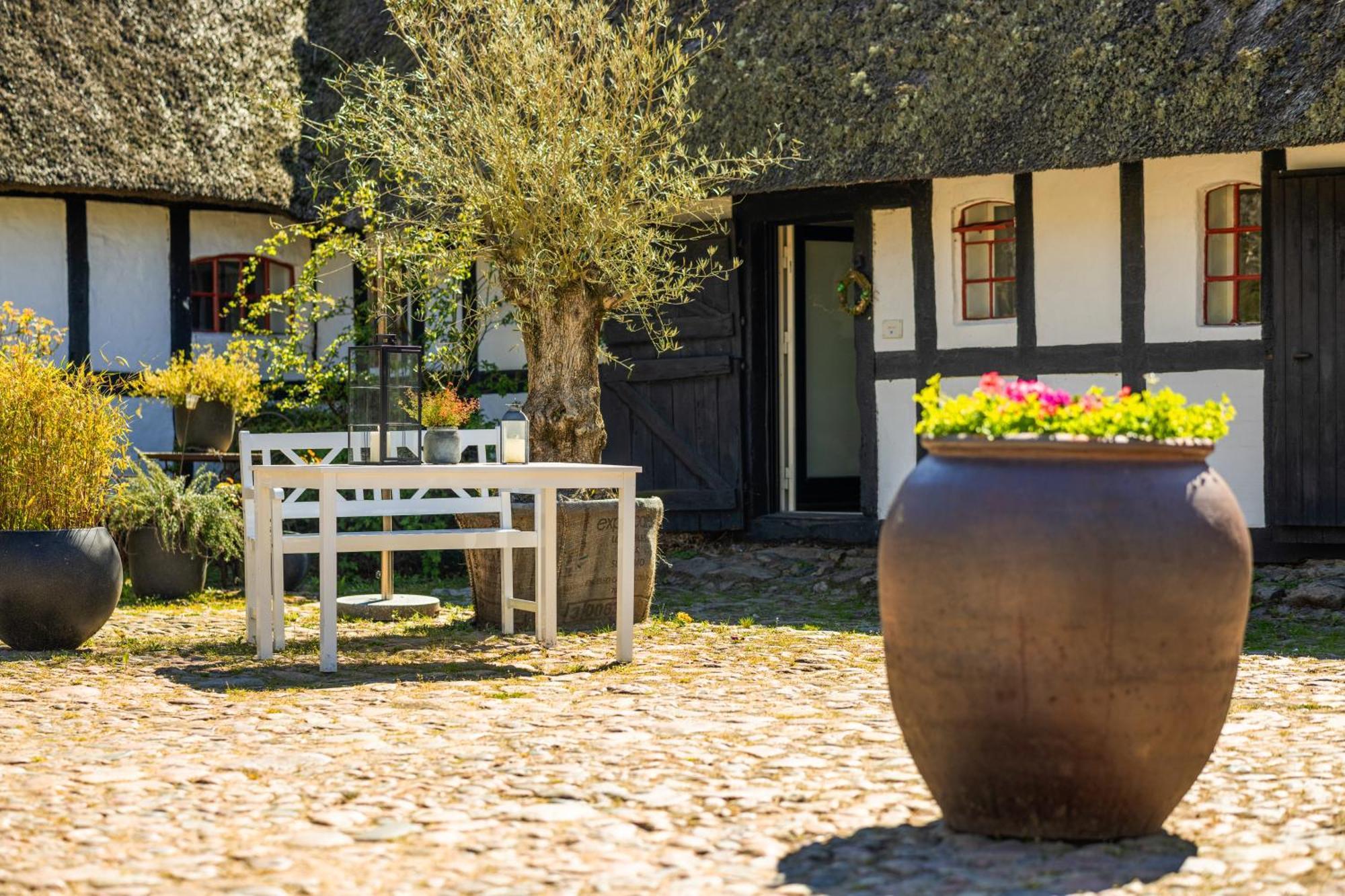 Solbjerggaard Bed & Breakfast Fåborg Extérieur photo