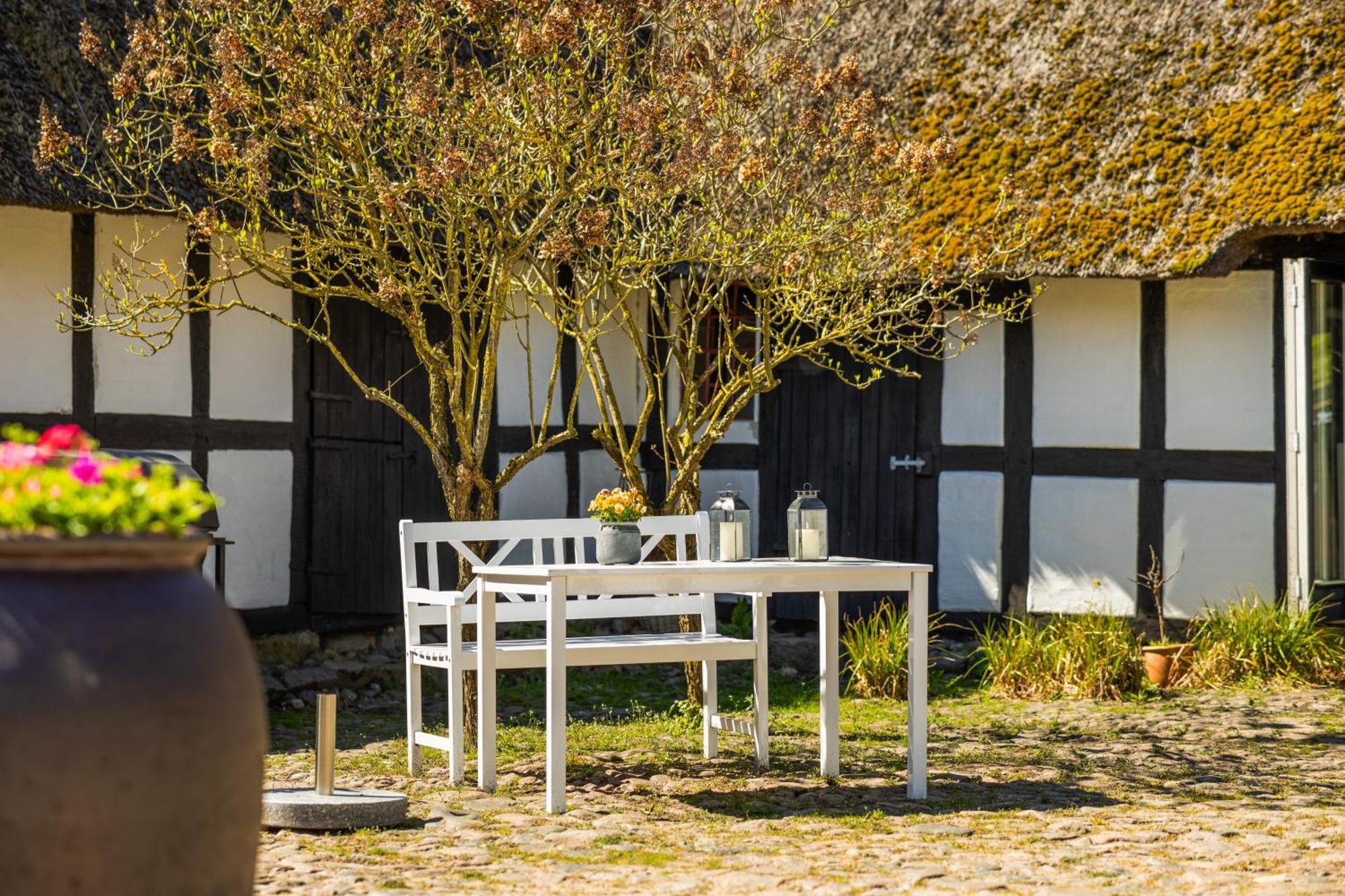 Solbjerggaard Bed & Breakfast Fåborg Extérieur photo